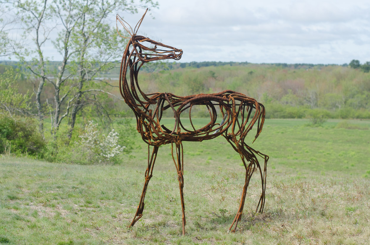 PROUD DOE Wendy Klemperer