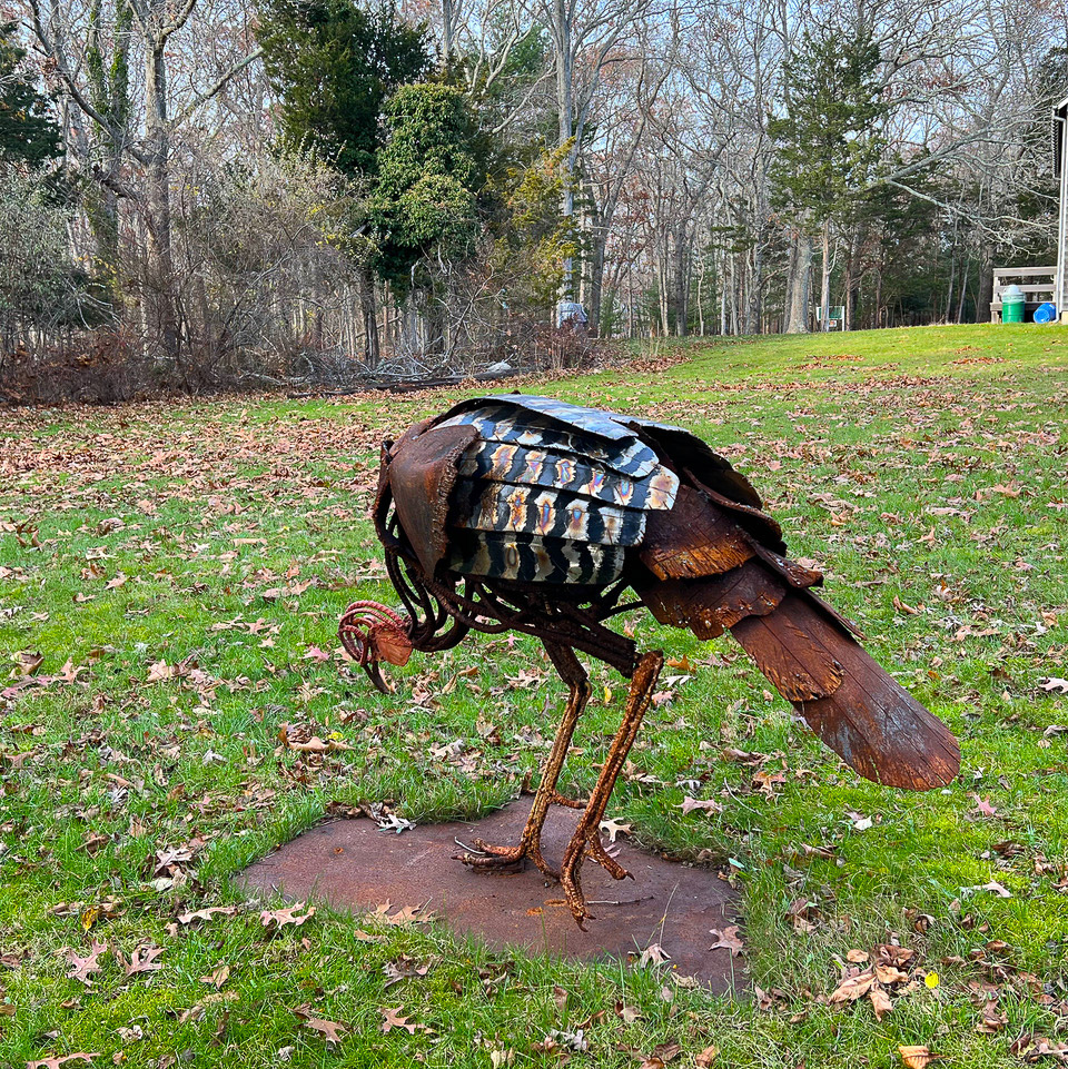 HOI POLLOI (Wild Turkey) Wendy Klemperer 